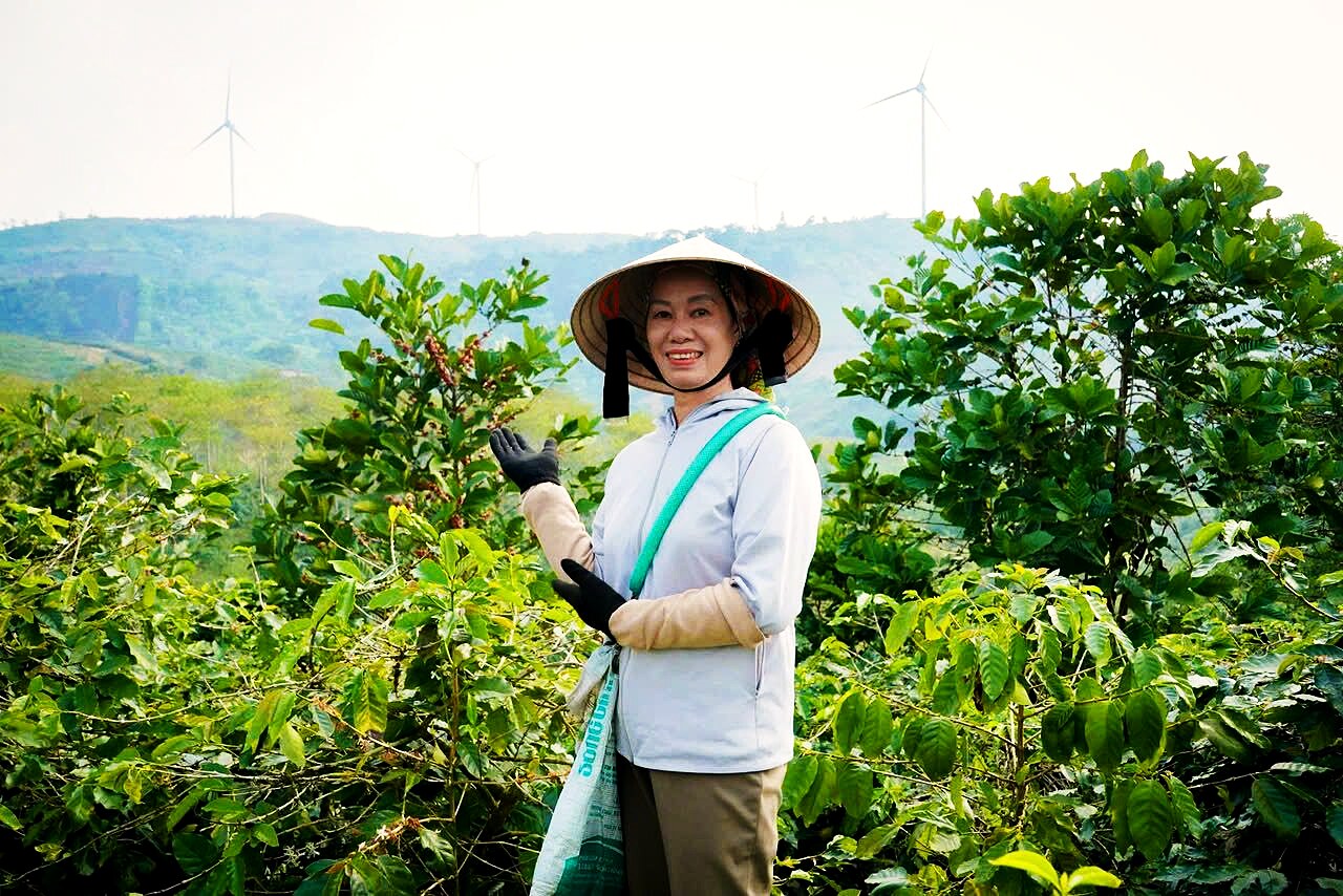 Người sáng lập Madam Hương tại vườn cà phê